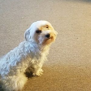 Meet your Posher, Tonia